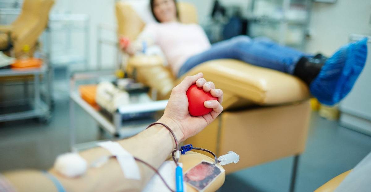 ¿En qué consiste la aféresis? ¿Cuáles son los requisitos para donar sangre?