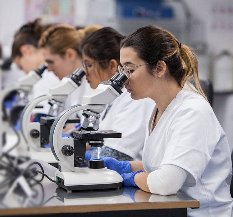 Grado Superior de Anatomía Patólógica y Citodiagnóstico a Distancia